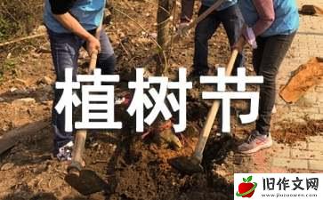 关于植树节的小学作文10篇