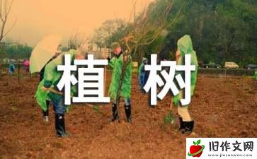 关于植树的优秀作文合集9篇