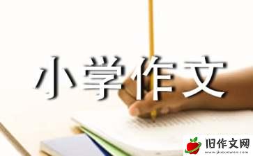 留恋小学作文15篇