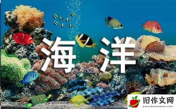 爱的海洋作文(8篇)