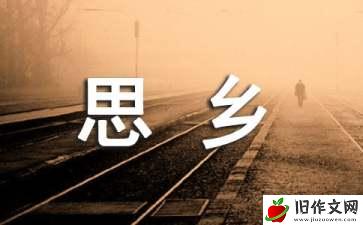 思乡作文600字合集九篇