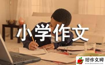 留恋小学作文(15篇)