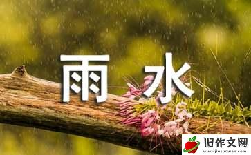 雨水的作文300字