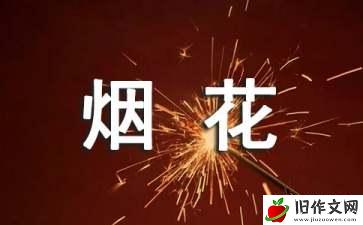 美丽的烟花作文8篇