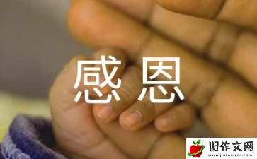 【实用】感恩孝道作文4篇