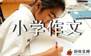 追求小学作文12篇