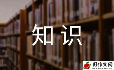 掌握基础知识作文_文化作文900字