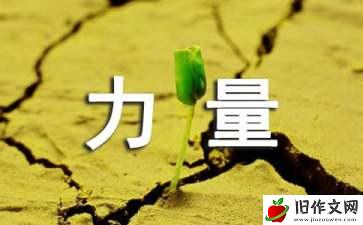 勇气的力量作文