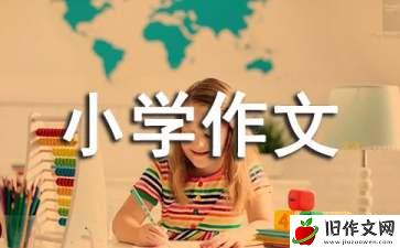 民风民俗小学作文(11篇)