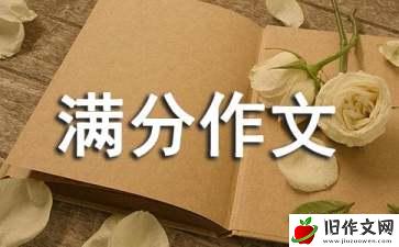 第一次考满分作文600字