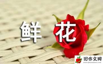 云南鲜花饼优秀作文500字