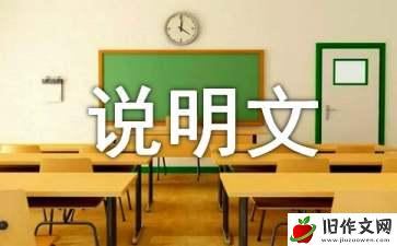 石头的联想说明文作文550字