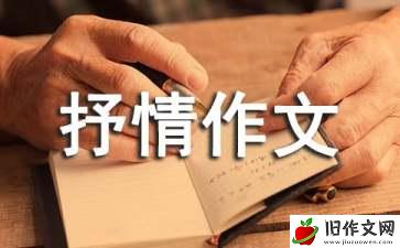 重拾热爱-抒情作文650字