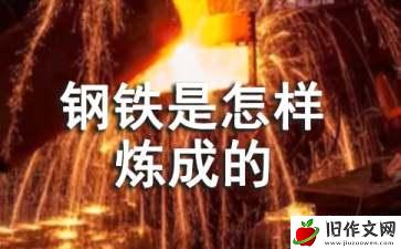 钢铁是怎样炼成的读后感作文2000字