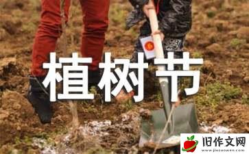 关于快乐的植树作文汇总8篇